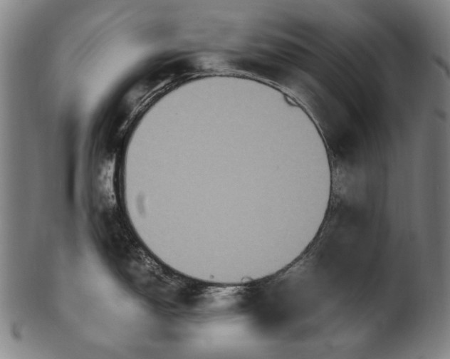 X0000100851150200807111210