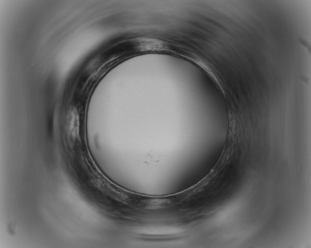 X0000100851151200807111210