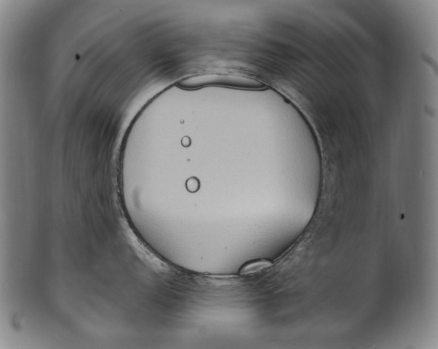 X0000100851152200807111210