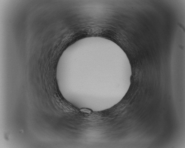 X0000100851153200807111209