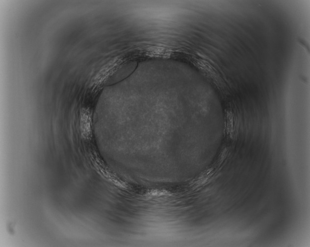 X0000100851154200807111209