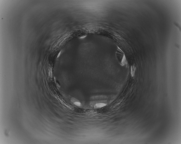 X0000100851155200807111209