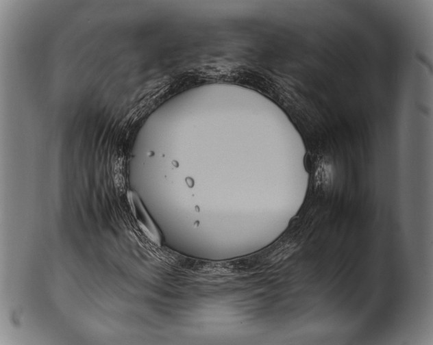 X0000100851156200807111209