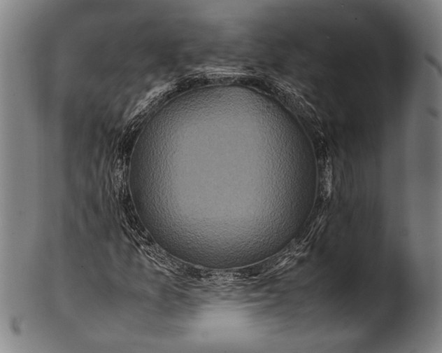 X0000100851157200807111209