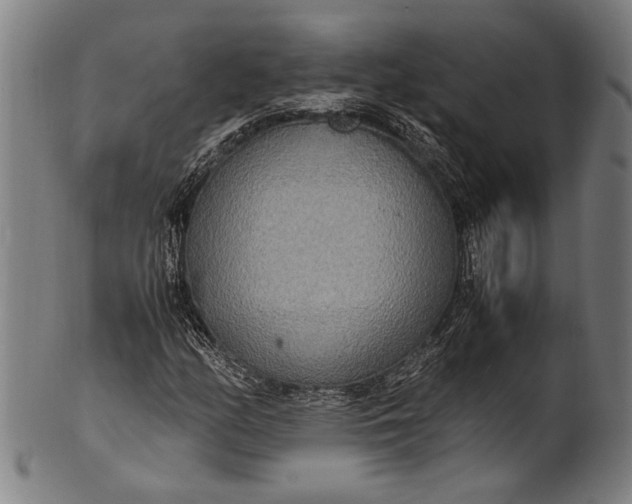 X0000100851158200807111209