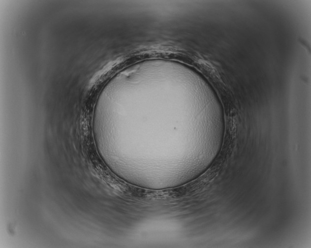 X0000100851159200807111209