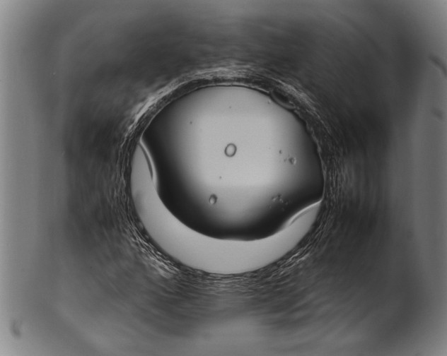 X0000100851160200807111209