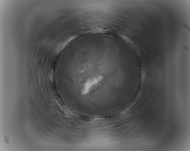 X0000100851161200807111209