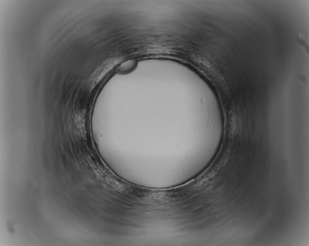 X0000100851162200807111208