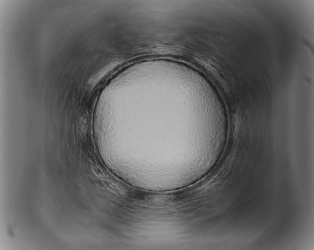 X0000100851163200807111208