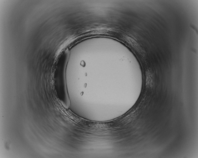 X0000100851164200807111208