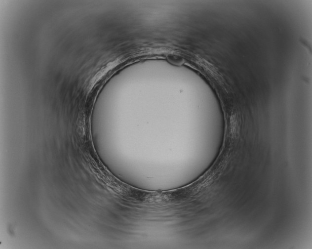 X0000100851165200807111208