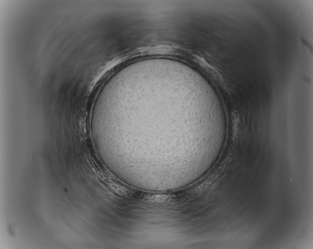 X0000100851166200807111208