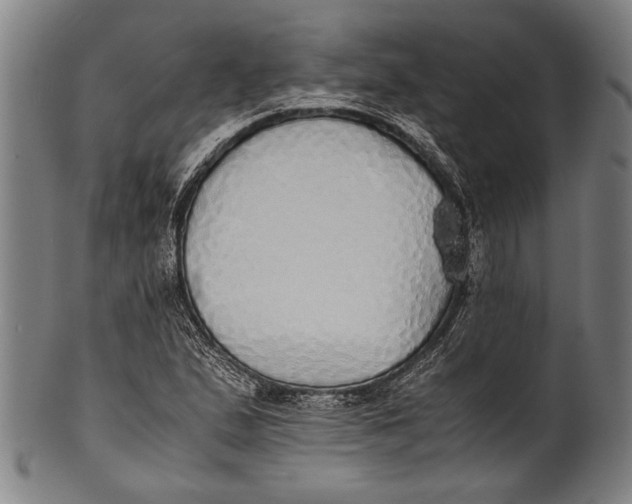 X0000100851167200807111208