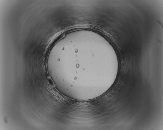 X0000100851168200807111208