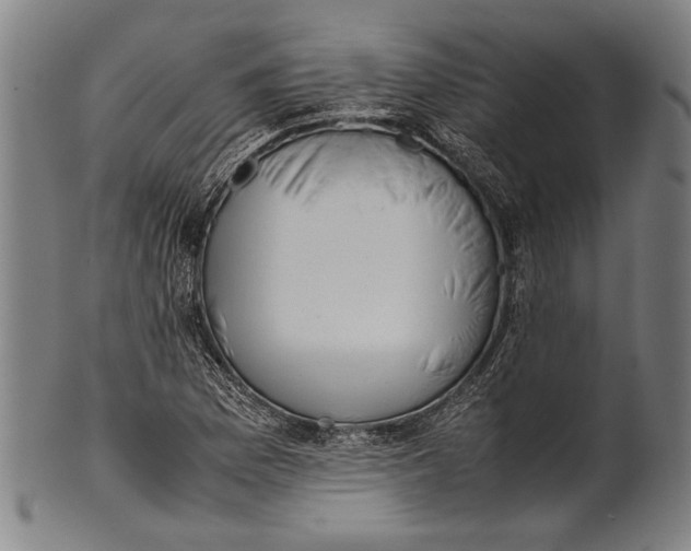 X0000100851169200807111208