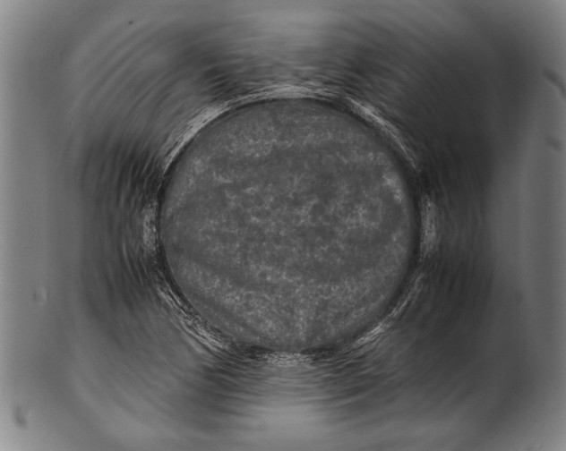 X0000100851170200807111208