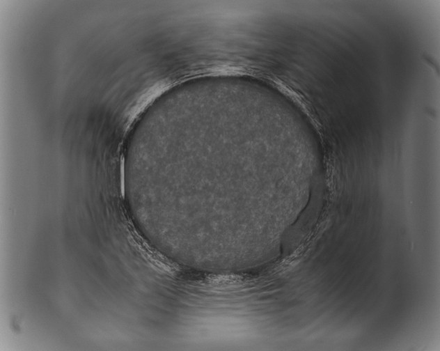 X0000100851171200807111208