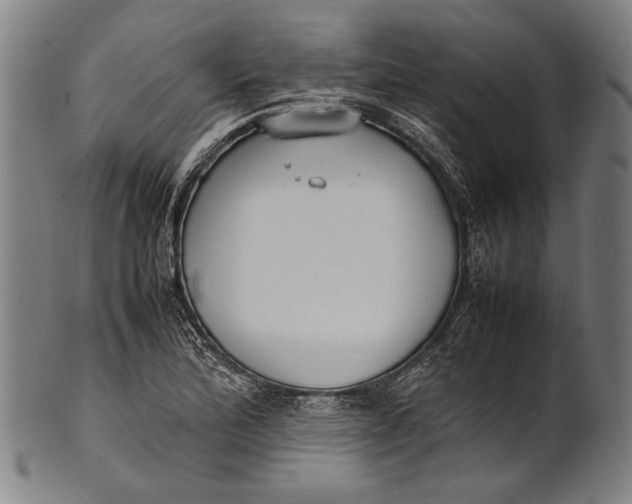 X0000100851172200807111208