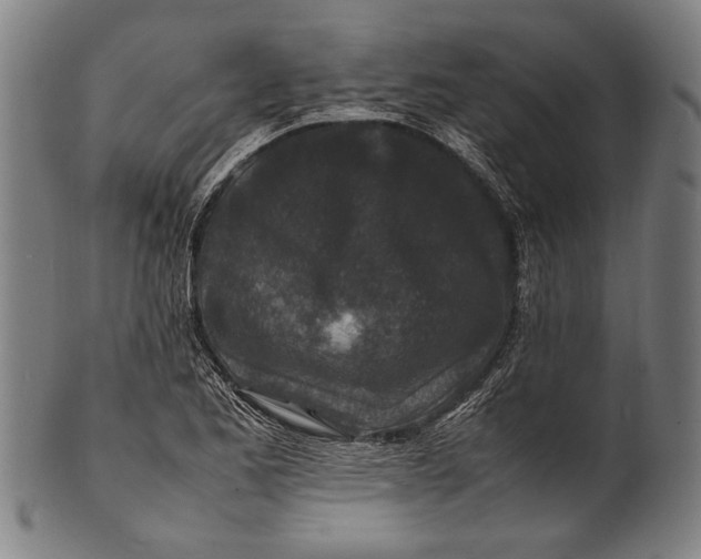 X0000100851173200807111208