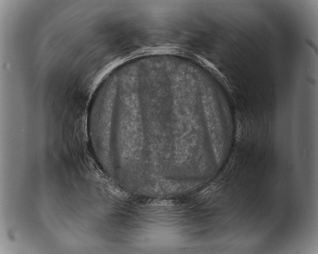 X0000100851174200807111208