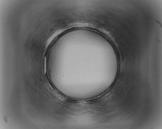 X0000100851175200807111208