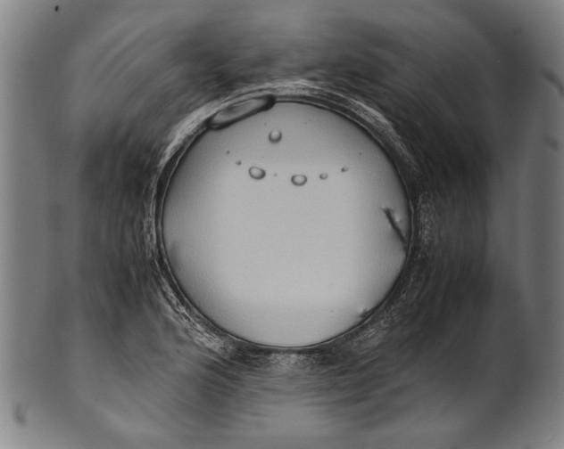 X0000100851176200807111208