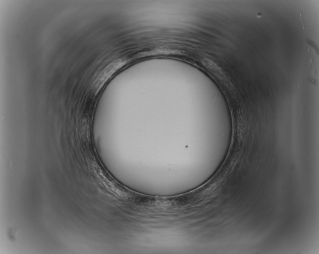 X0000100851177200807111208