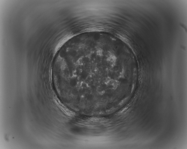 X0000100851179200807111208