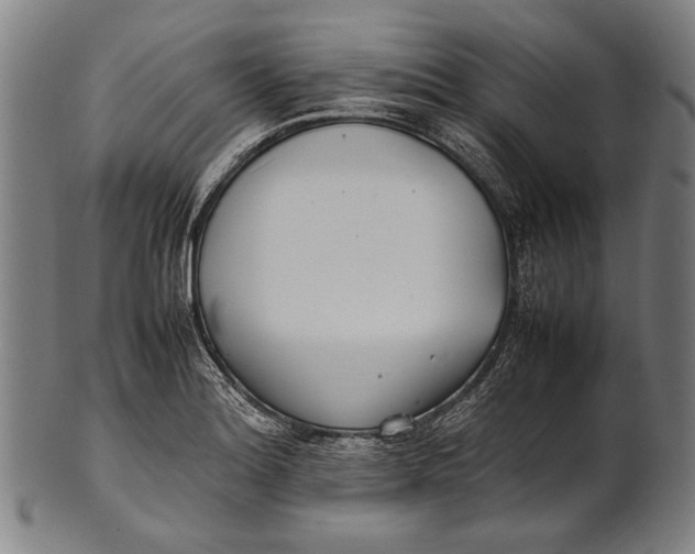 X0000100851180200807111208