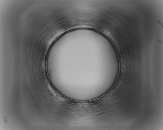 X0000100851181200807111208