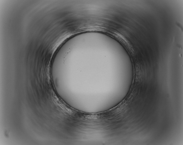 X0000100851182200807111208