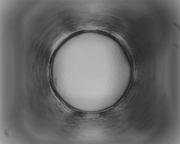 X0000100851183200807111208