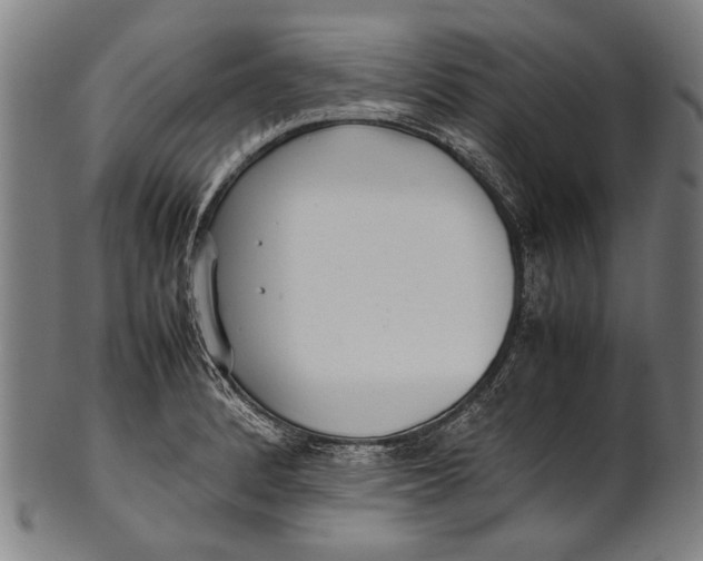 X0000100851184200807111208