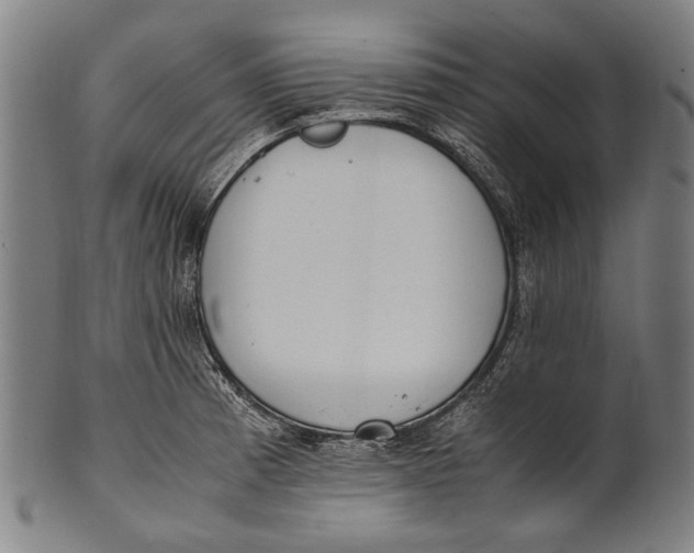 X0000100851185200807111208