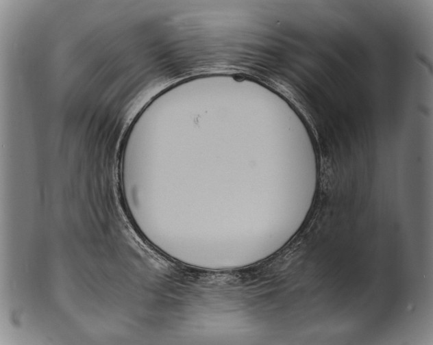 X0000100851187200807111208