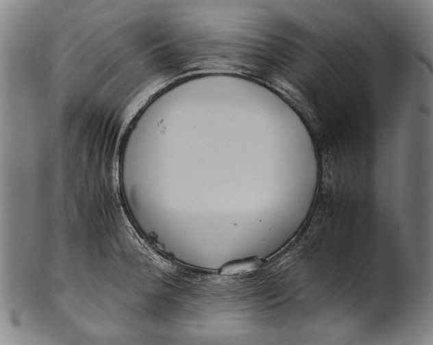 X0000100851188200807111208