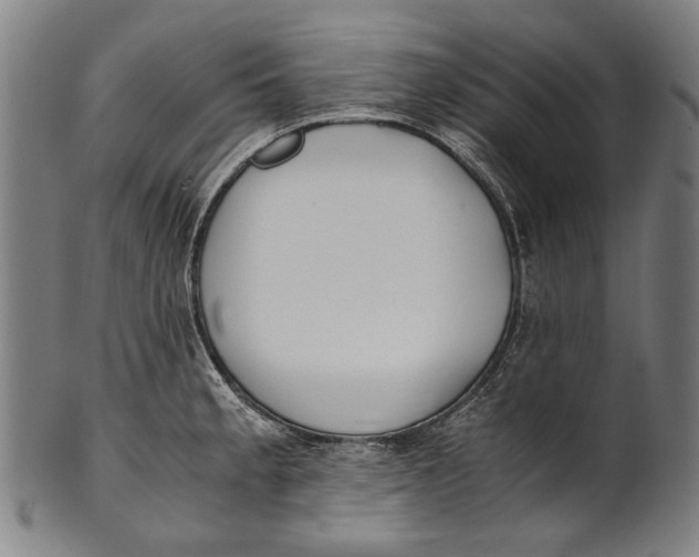 X0000100851189200807111208