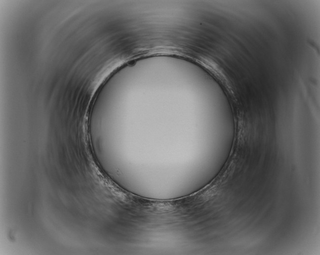 X0000100851190200807111208