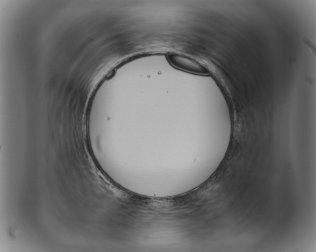 X0000100851191200807111208