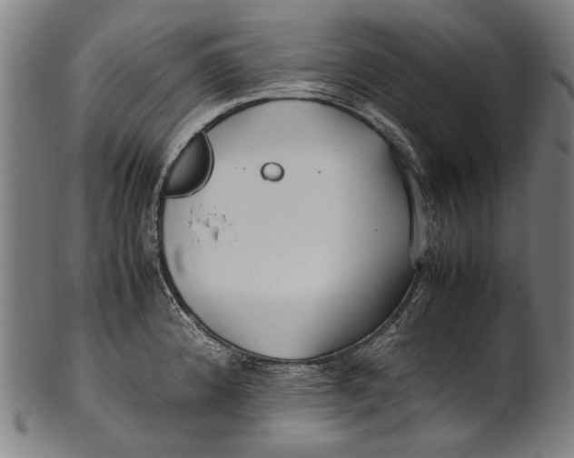 X0000100851192200807111208