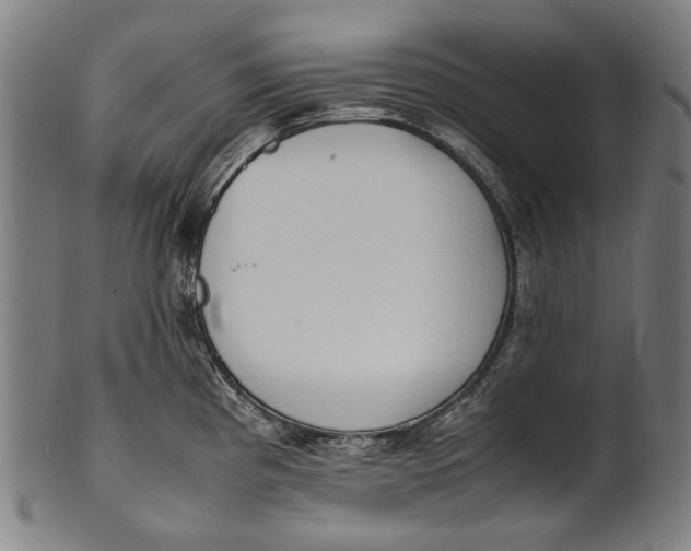 X0000100851193200807111208