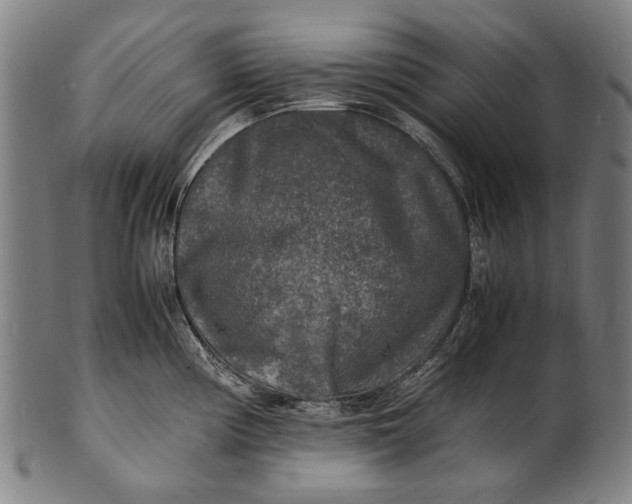 X0000100851194200807111208