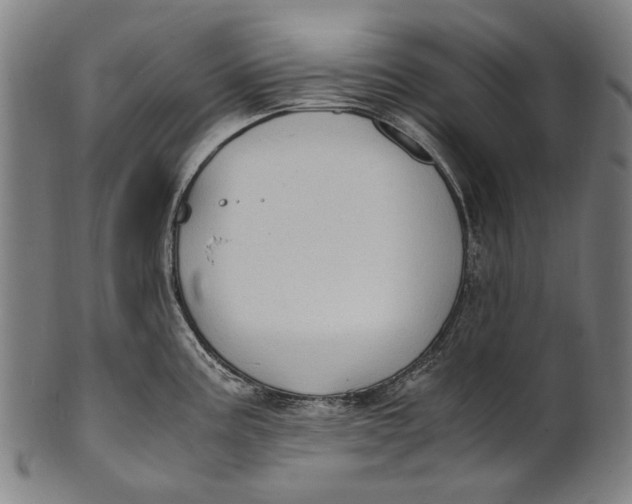 X0000100851195200807111208