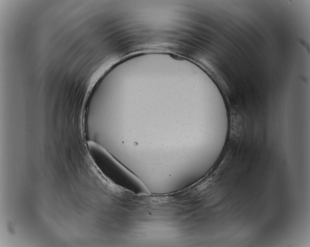 X0000100851196200807111208