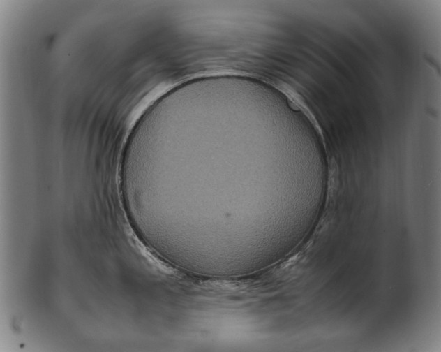 X0000100851197200807111208