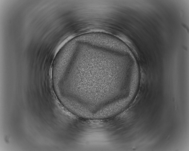 X0000100851198200807111208