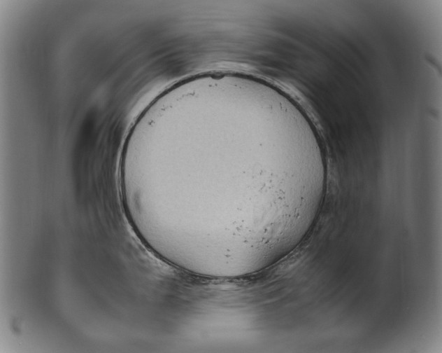 X0000100851199200807111208