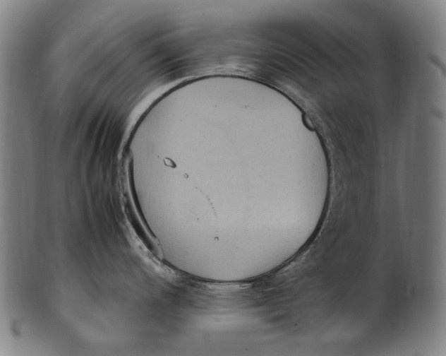 X0000100851200200807111208