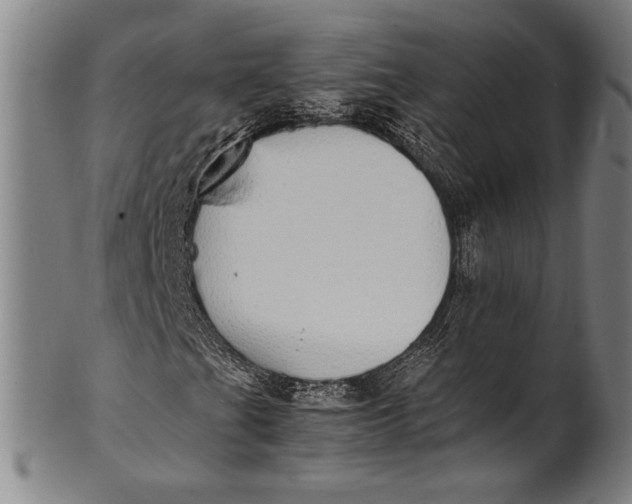 X0000100851201200807111207